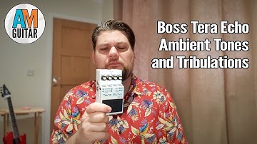 Boss Tera Echo Pedal Demo