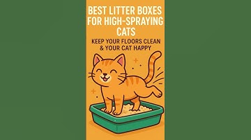 Best Litter Boxes for High-Spraying Cats: Keep Your Floors Clean & Your Cat Happy