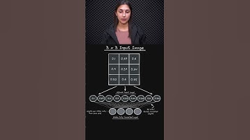 Fully Connected Layers: Image Inputs 📸 - Network Complexity 🌌 - Topic 221 #ai #ml