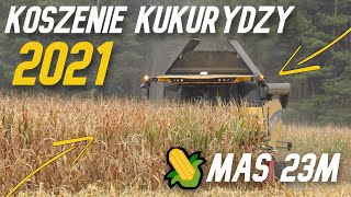 Kukurydza dobrze sypie  Mas 23M | New Holland CX 6.80 [vlog150]