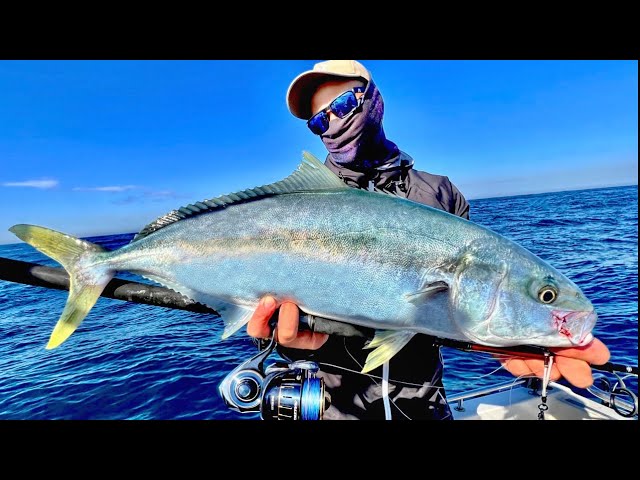 How to Catch Kingfish: a complete guide – Daiwa Australia