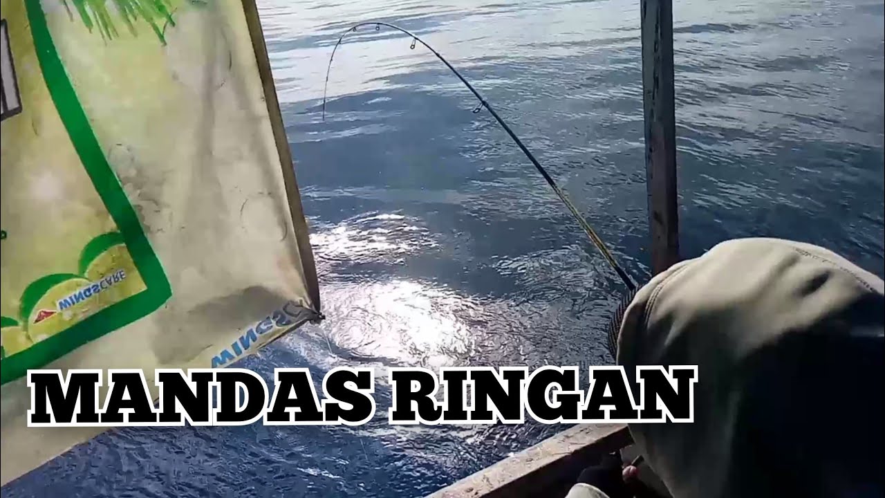 mancing dasaran dari atas keramba mancing di buleleng bali 