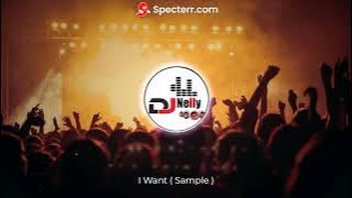 DJ Nell What I Want Sample