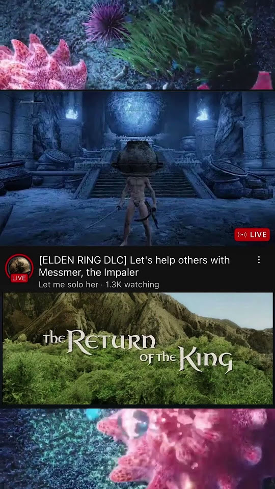 Let Me Solo Her Is Now Let Me Solo Him YouTube let-me-solo-her-is-now-let-me-solo-him-youtube