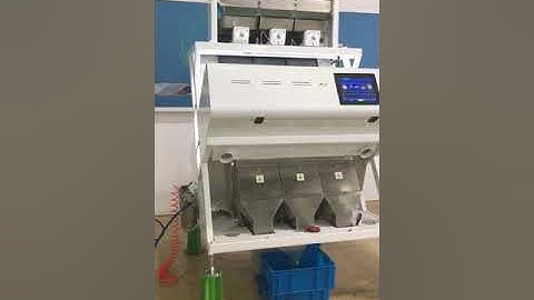 sunflower seed kernels color sorting