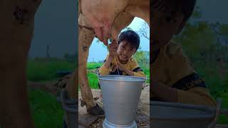 Choti Choti Gaiya Dtgg Ghfhfg Chfg Buyc anaya cow radheradhe