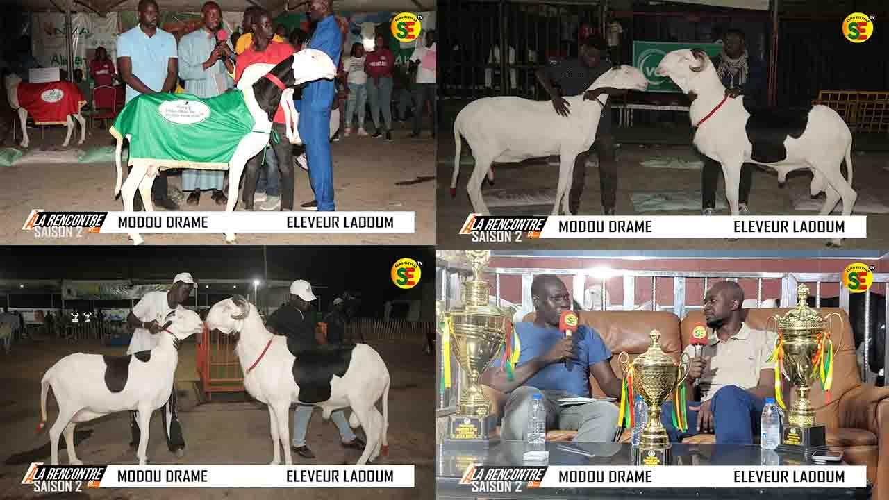 A LA RENCONTRE DE MODOU DRAME ELEVEUR SAISON 2 / PERFORMANCES  EXCEPTIONNELLES  ENTRE 2023 ET 2025