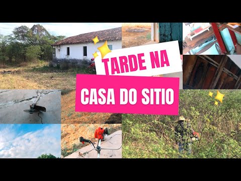 CAFÉ DA TARDE NA ROÇA E BOAS CONVERSAS