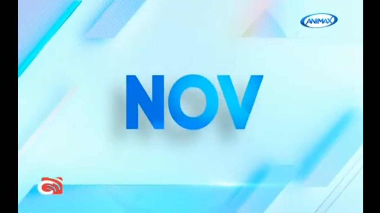 Animax Asia Continuity- November 2024