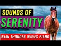 Ocean Waves with Gentle Rain and Thunder | Relaxing Piano Music | Sleep | Relax | Study 😴 ♪