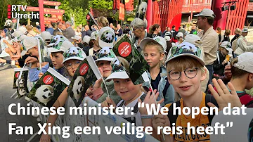 Daar gaat ze: pandajong Fan Xing verhuist van Rhenen naar China | RTV Utrecht