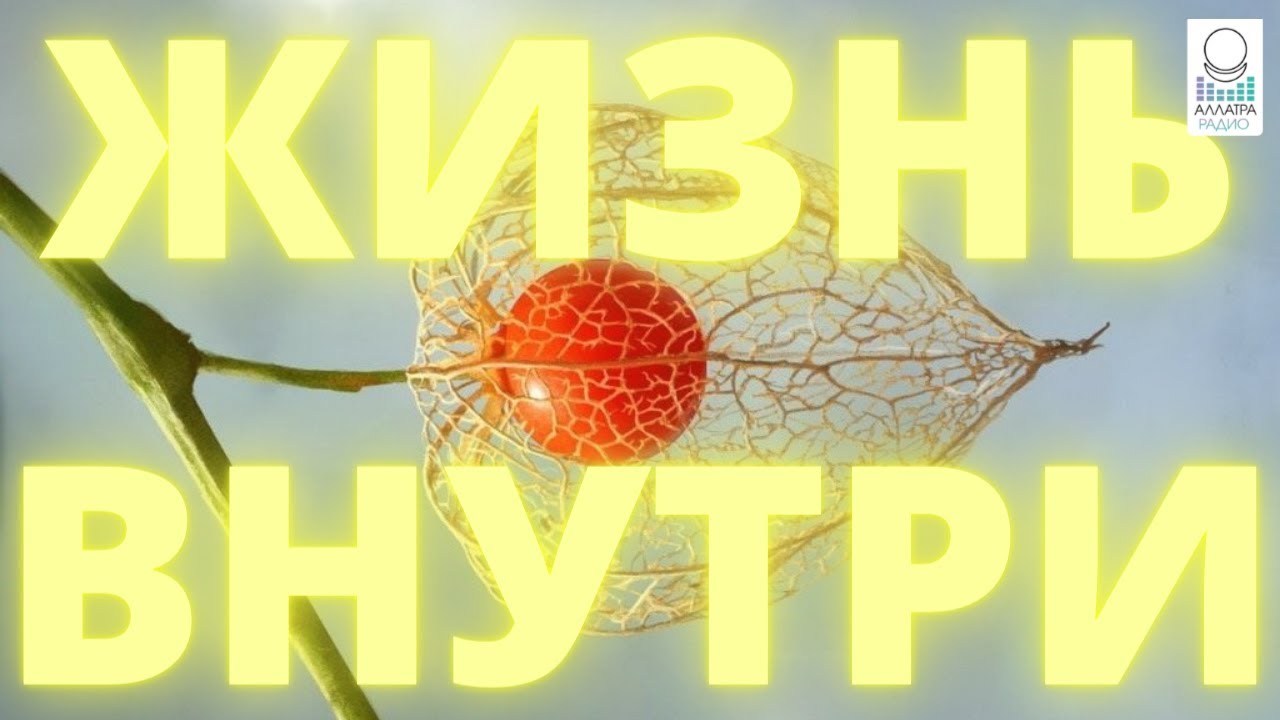 Всемирная паутина. Жизнь внутри сети интернета 4 буквы. Всемирная паутина интернет. Глобальная сеть интернет. Значок глобальной сети.