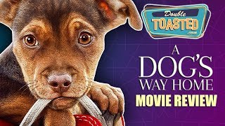 A DOG'S WAY HOME MOVIE REVIEW - Double Toasted Reviews