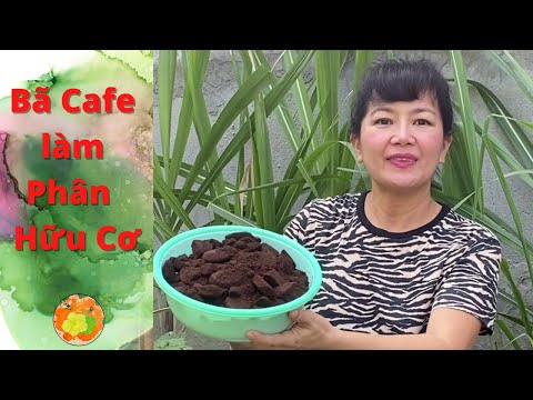 Video: Hợp chất hữu cơ nào có mùi trái cây?