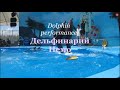 Дельфины.Dolphinarium in Feodosia.