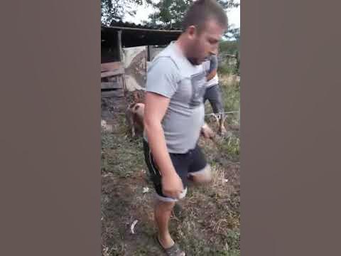 Рик и Морти - Голову вниз