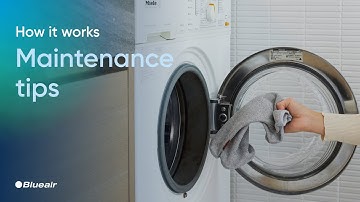 Blueair Blue Pure Max - Maintenance
