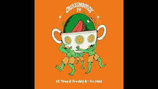 Trex & Freddy B - Go Mad