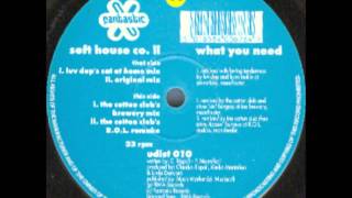 Soft House Co. II - What You Need (Luv Dup's Sat At Home Mix) screenshot 4