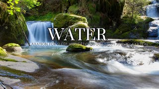 Water Sounds for Sleep - Sound River Meditate with Calming Water Sounds and Relaxing Music Bird Song