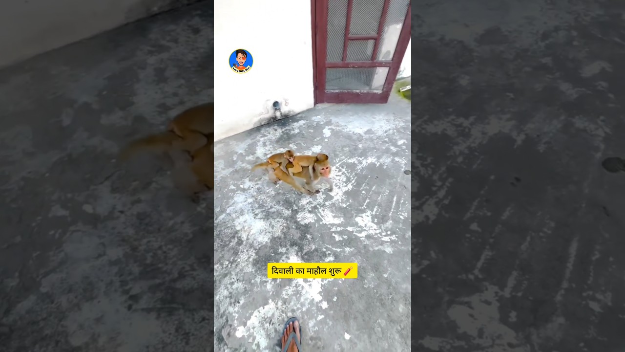 Ka ji Badki || Sab LOol Hai Original 