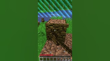 Minecraft, But it