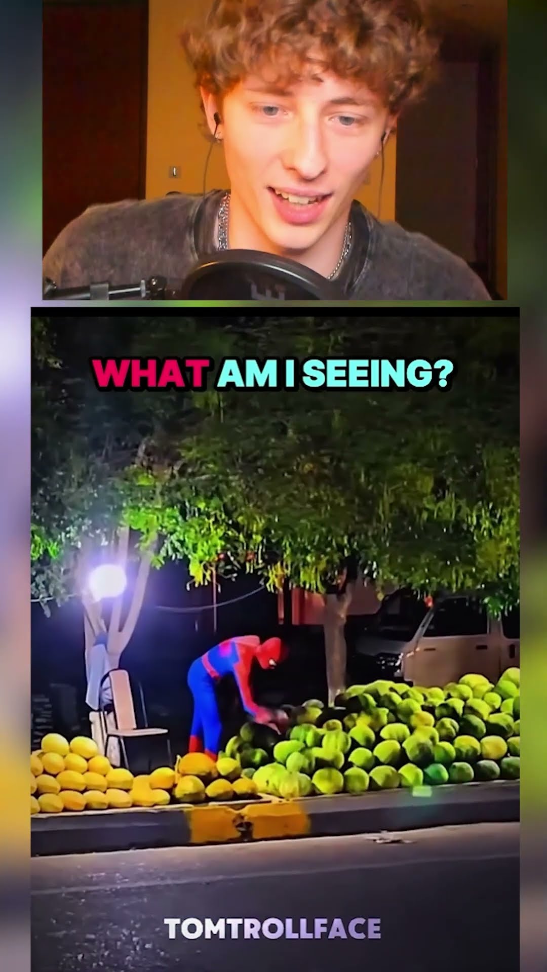 SPIDERMAN Y SU CHAMBA??