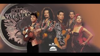 Viva la Vida (Hernan Gipsy) (Gipsy Vagabonds)