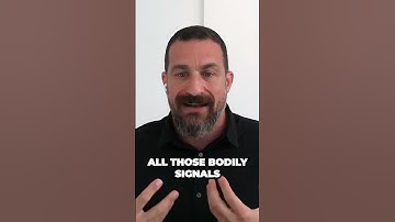 Uncovering the Surprising Role of the Insula in Neuroscience