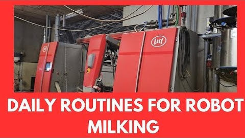 Daily routines for 300 milking cows, 4 lely Astronaut robots zero grazing system