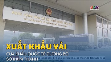 Trên 19.000 tấn vải thiều xuất khẩu qua cửa khẩu Lào Cai | THLC