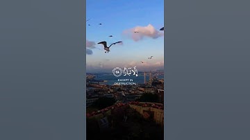 رَبِّ اغْفِرْ لِي وَلِوَالِدَيَّ وَلِمَنْ دَخَلَ بَيْتِيَ مُؤْمِنًا ) #سورة_نوح