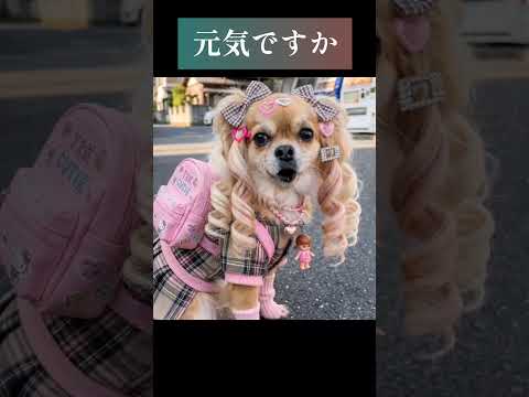 歌上手ギャル🎶『元気ですか』ギャル✨