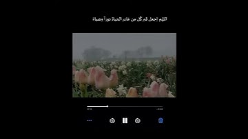 ستوري قران للانستقرام || بصوت القارئ انس الشافعي