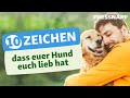 Liebt mein Hund mich? So findest Du es heraus! | Verhalten | FRESSNAPF