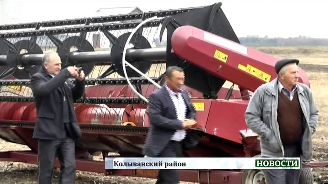 Меганом сегодня видео