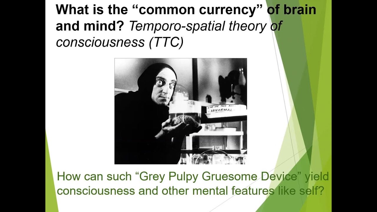 Temporo-spatial Theory of Consciousness (TTC) by Georg Northoff [MESEC WinterSchool 2023]