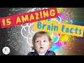 15 Amazing Brain Facts | Science For Kids | Educational Videos For Kids