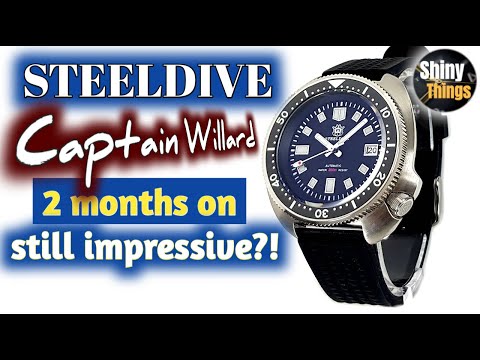 9 Weeks on... Still Impressive? - Steeldive SD 1970 follow up review
