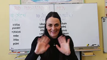 Jaké jsou podstatná jména pomnožná a látková?