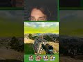 i OVERSHOT my JUMPDIVE! | Fail | Battle Royale | Call Of Duty | #ghighi_tv op #Twitch