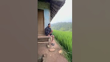 Suasana yang indah dan bikin betah #youtube #shorts #viral #fypviral #village