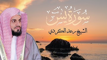 سورة يس تلاوة هادئة تريح القلوب 🧡 للشيخ رعد الكردي | Sourate Yas-In - Cheikh Raad Al Kurdi