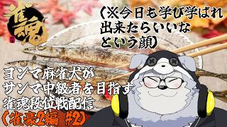 ヨンマ麻雀犬がサンマ中級者を目指す雀魂段位戦配信(雀豪2編 #2)【牧島 磨穂郎】
