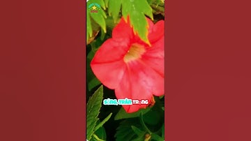 Một mình nhưng không cô đơn