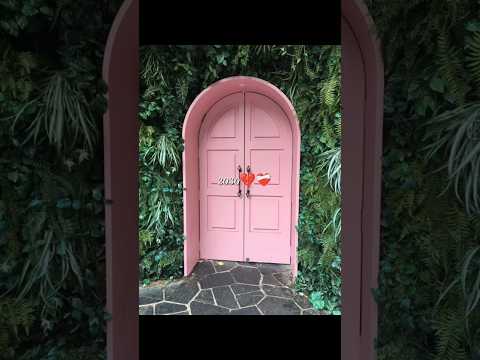 No Blackpink In 2030 Blackpink BlinksWorld