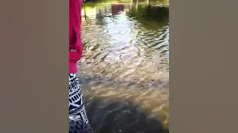 Wootton pond