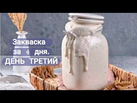 ПШЕНИЧНАЯ ЗАКВАСКА ЗА 4 ДНЯ. ДЕНЬ ТРЕТИЙ,второе освежение