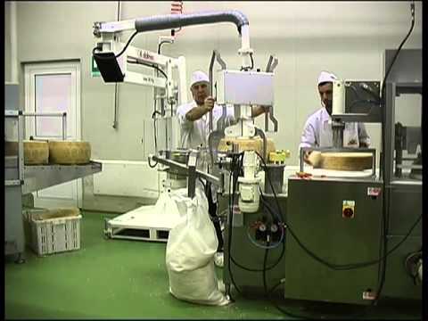 Dalmec - Industrial Manipulator 0935611 - YouTube