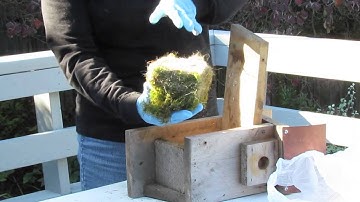 How To Clean a Nestbox  10 26 13